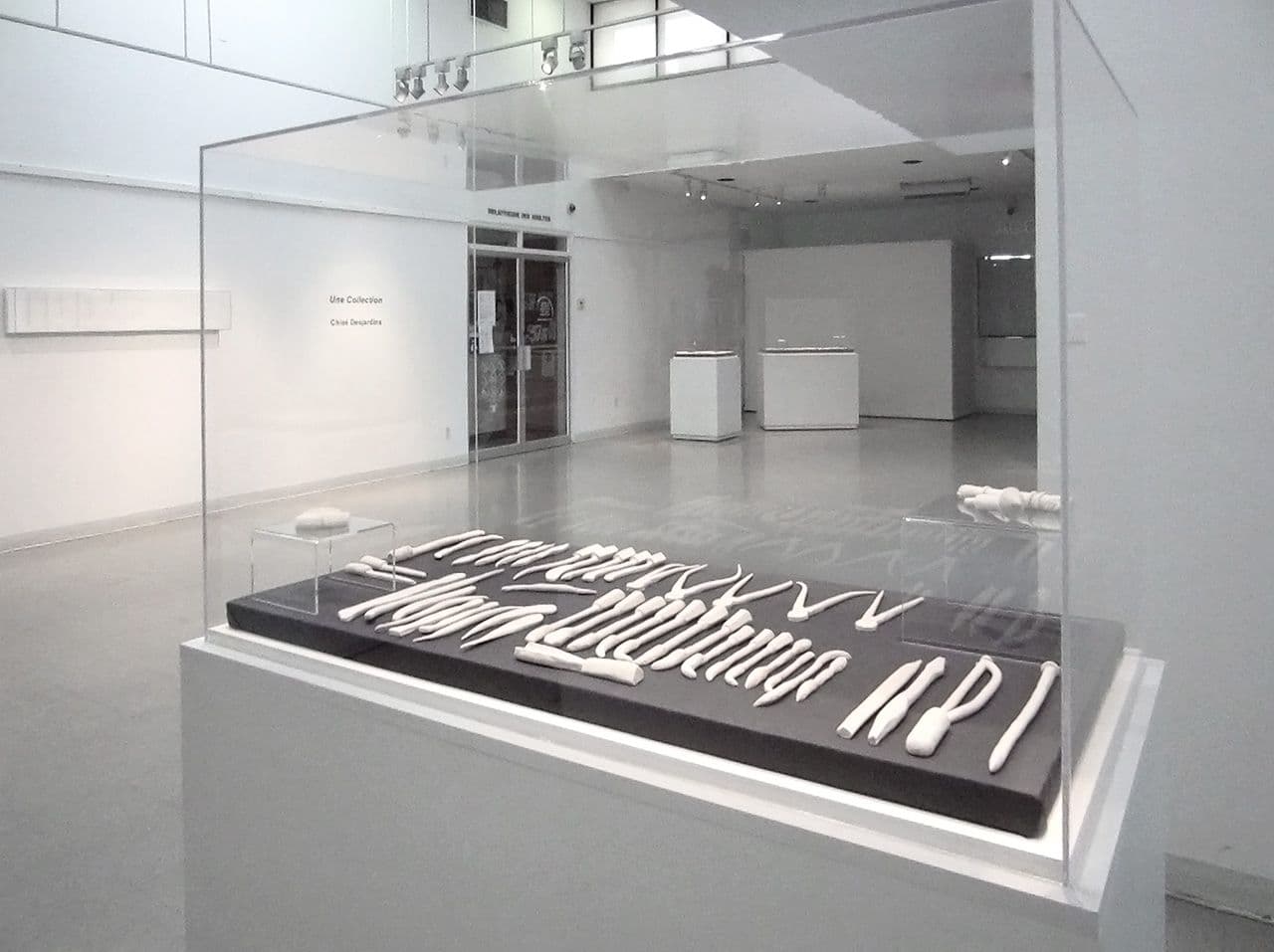 Image from the project "Une Collection" by Chloe Desjardins